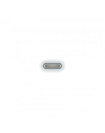 adattatore-da-usb-c-a-apple-pencil.jpg