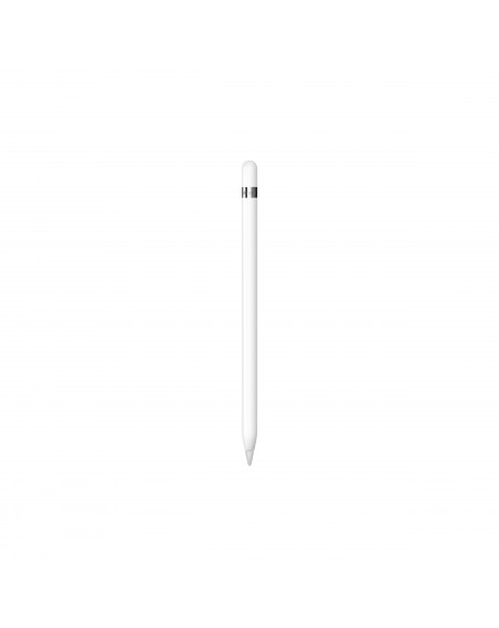 apple-pencil-1-generazione-con-adattatore-usb-c.jpg