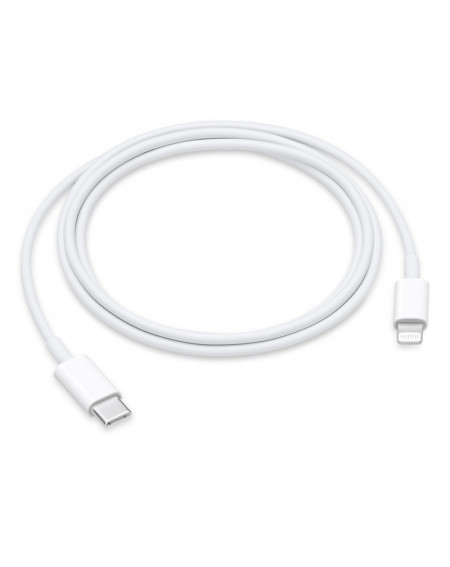 cavo-apple-da-usb-c-a-lightning-1m.jpg